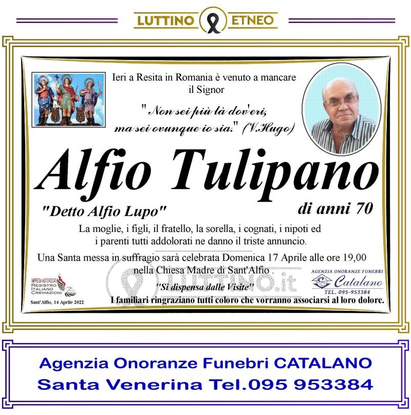 Alfio  Tulipano 
